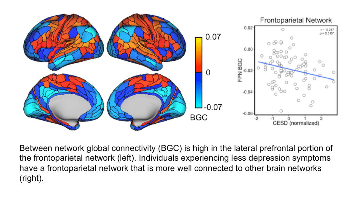 Less depression for those with a better-connected frontoparietal brain&nbsp;network